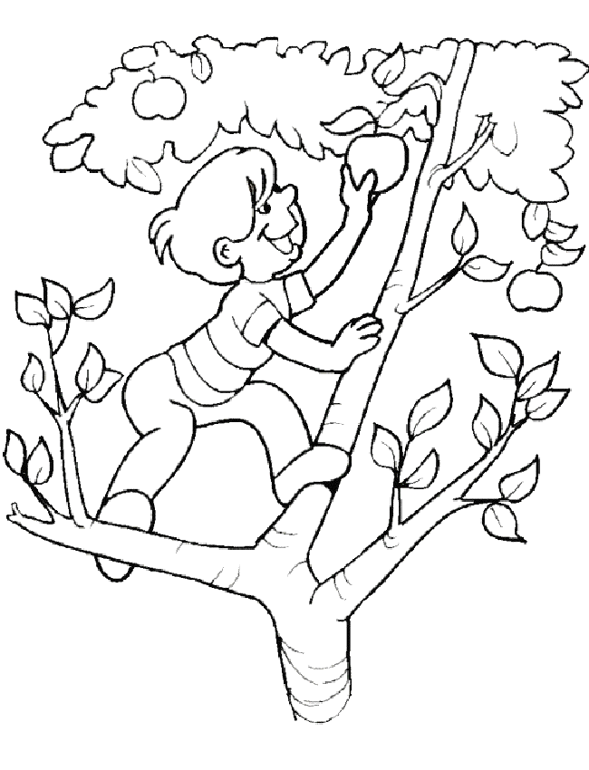 Summer Coloring Pages 89 281691 High Definition Wallpapers| wallalay.