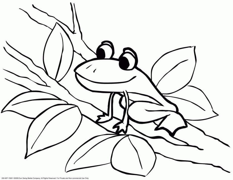 Viewing Gallery For Flower Skunk Coloring Page 150101 Nocturnal 