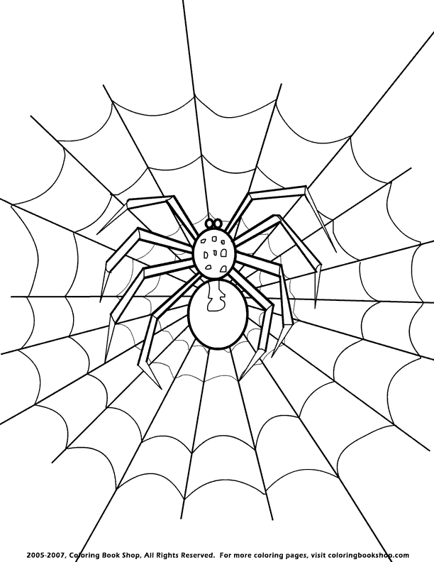 Halloween Spider Coloring Pictures Images & Pictures - Becuo