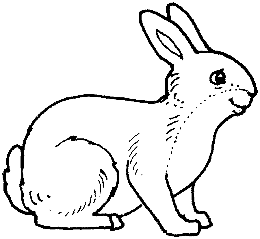 Black and white pictures to color with cartoon and animal coloring 