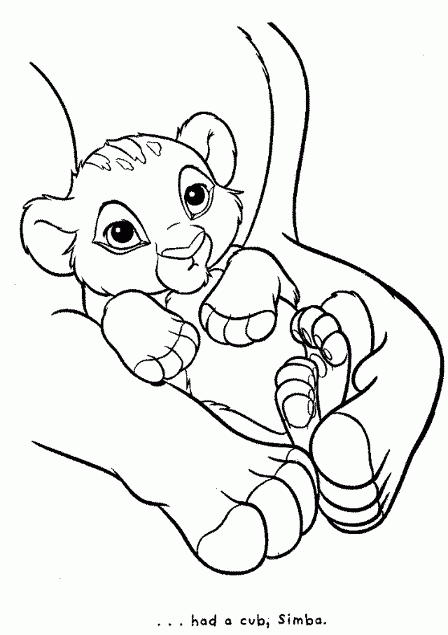 Colorable Lion Cub Photo Colorable Lion Cub Pic Colorable Lion 