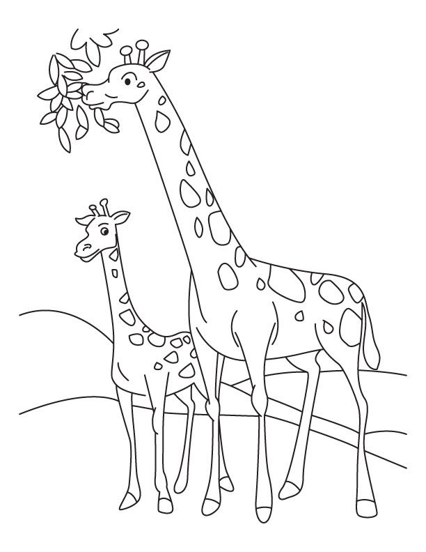 Two Splinted Giraffes Coloring Page | Kids Coloring Page