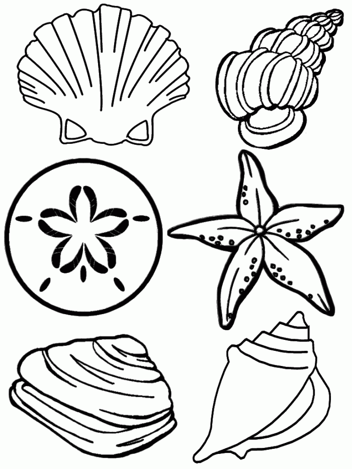 Seahorse Coloring Page For Kids