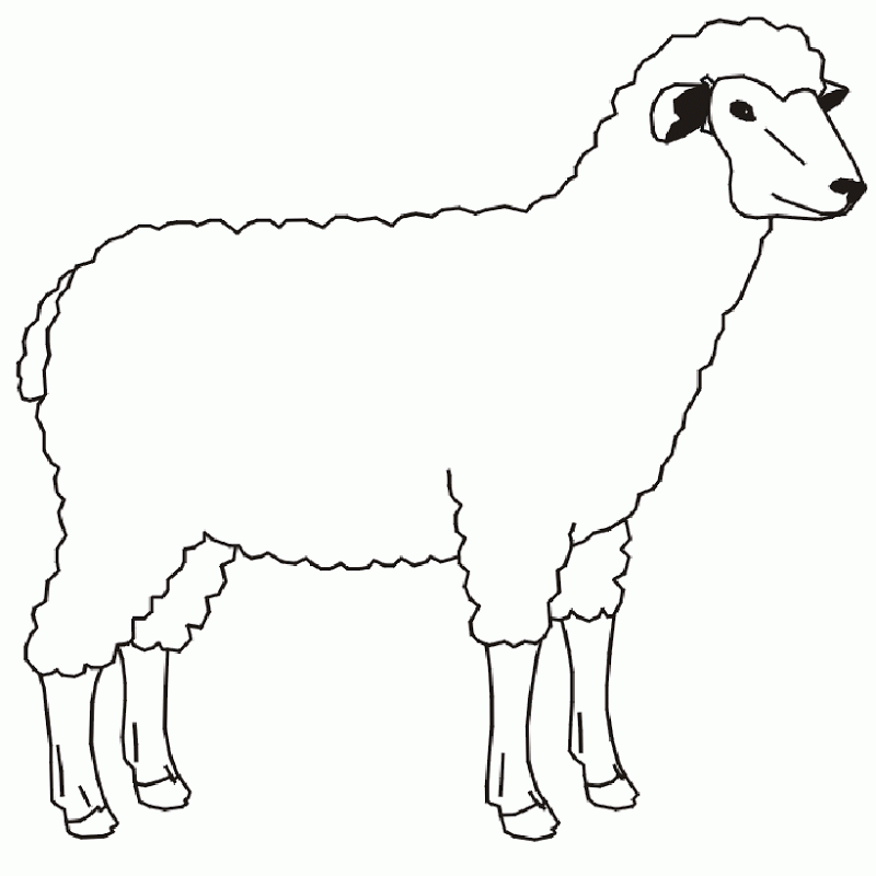 Free Farm Animal Coloring Pages