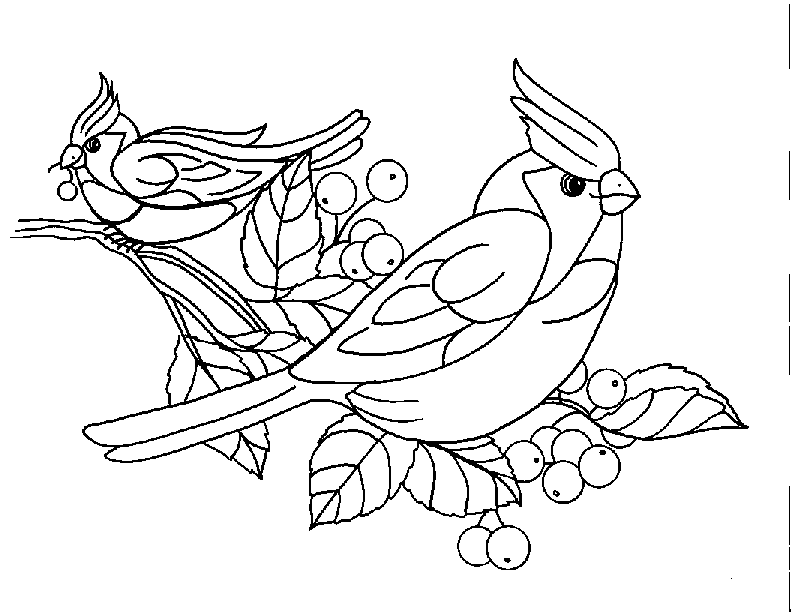 Bird Coloring Pages (2) - Coloring Kids