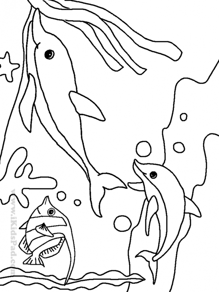Clown Fish Coloring Page Kids