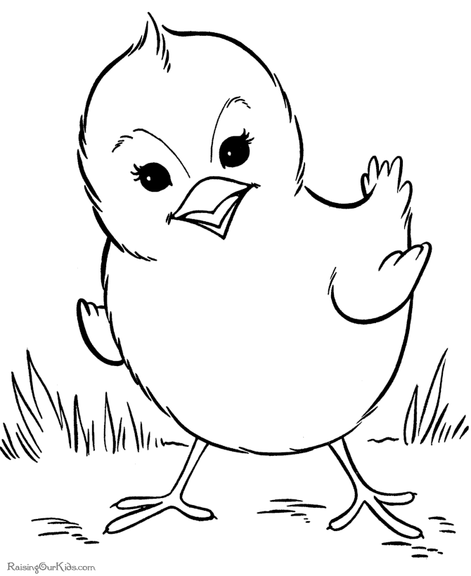 Baby Farm Animal Coloring Pages | Cartoon Coloring Pages