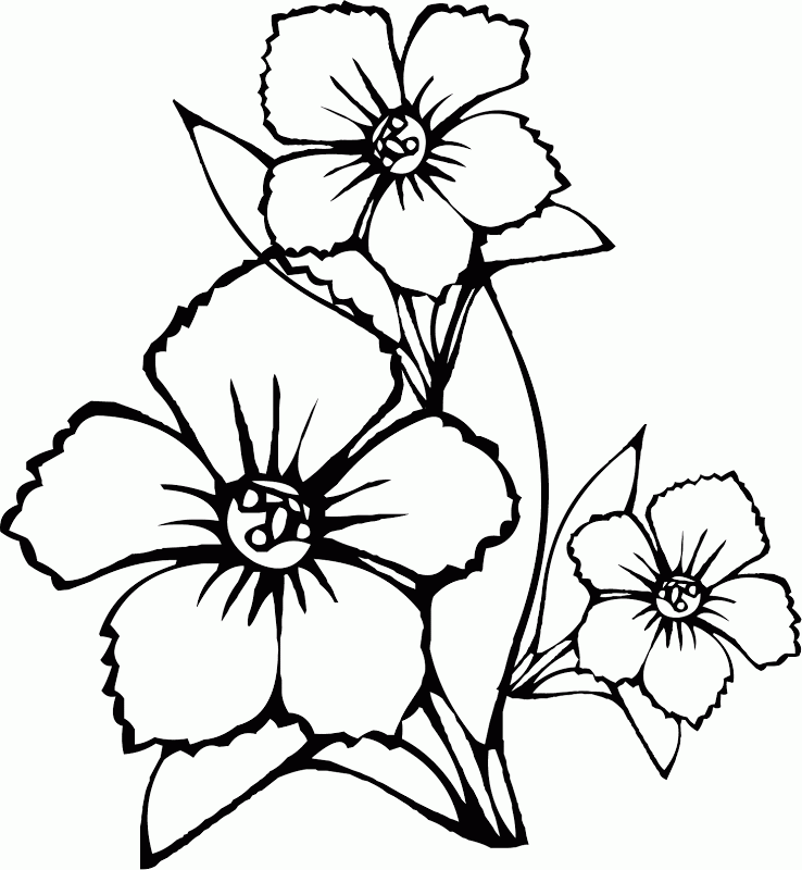Free Printable Grown Up Coloring Pages | Best Coloring Pages