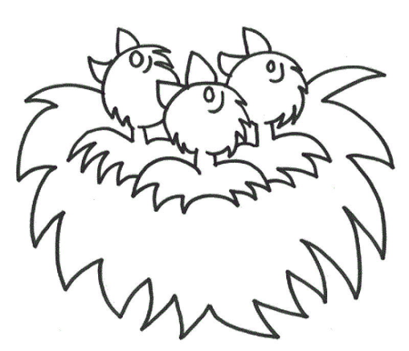 Coloring Pages Birds Nest - Kids Colouring Pages