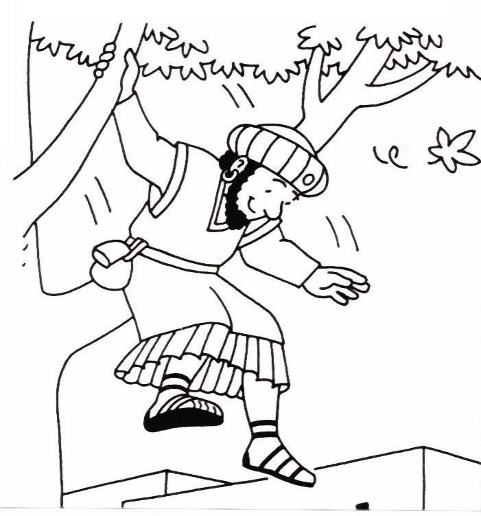 Bible story coloring pages zacchaeus Books Of The Bible Coloring 