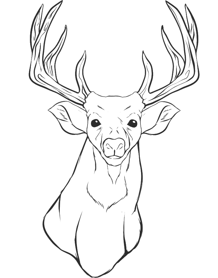 A Deer Being Relax Coloring For Kids - animal Coloring Pages 
