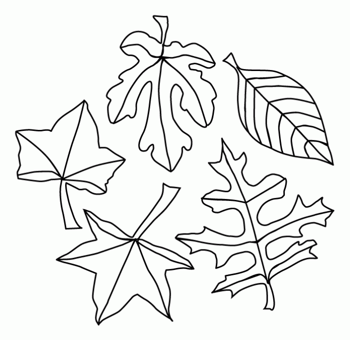 do the leaf Colouring Pages (page 2)