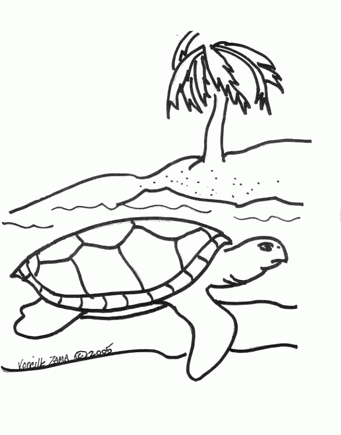 Sea Turtle Coloring Page 2 | Sea Turtle, Inc