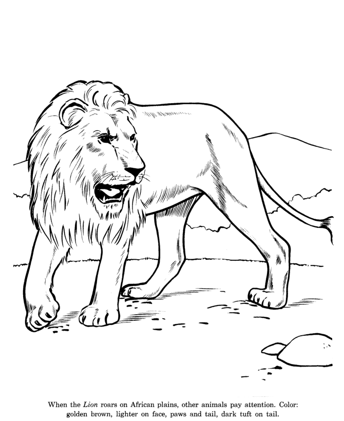 coloring pages for spring and holidays