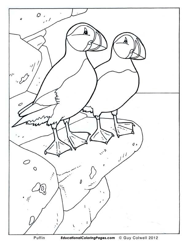 Birds Book One | Educational Fun Kids Coloring Pages and Preschool 