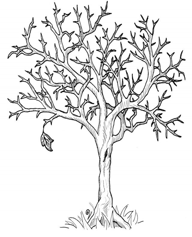 Download Autumn Fall Tree Without Leaves Coloring Page High 