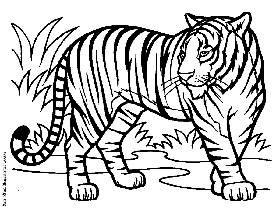 cute tigger Colouring Pages (page 2)