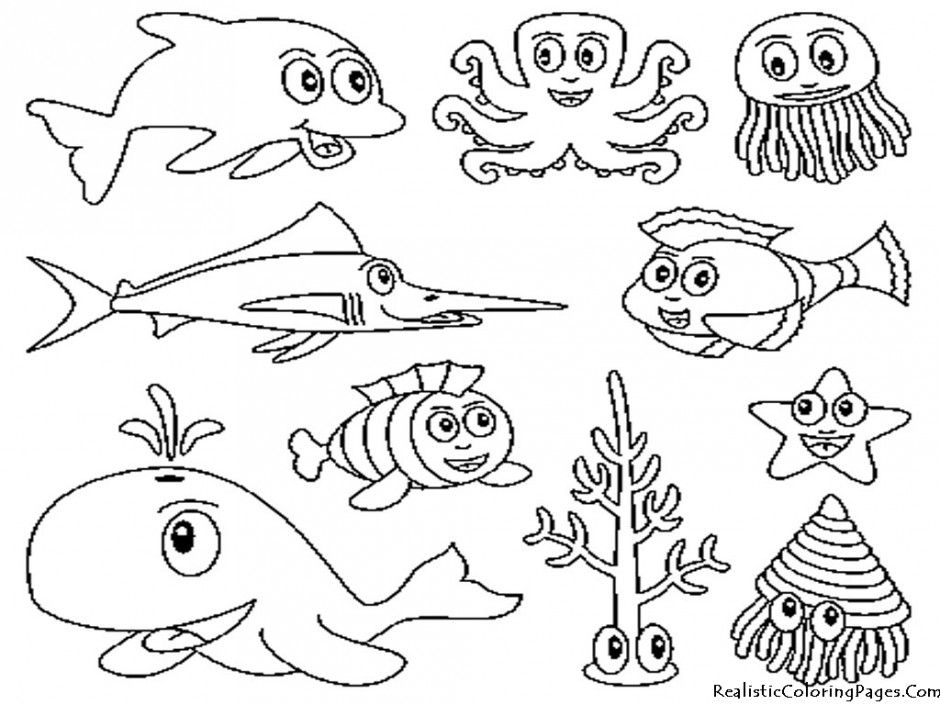 Ocean Animals Coloring Pages Realistic Hagio Graphic Water 292763 