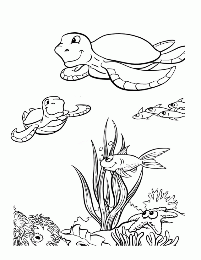 Coloring Pages Of Endangered Animals In The Ocean Coloring Pages 
