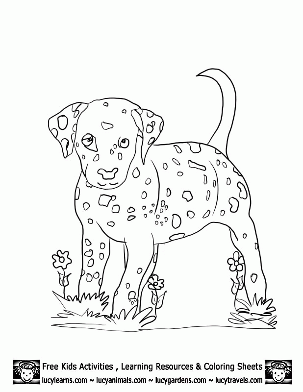 Dalmation Coloring Pages - Free Printable Coloring Pages | Free 