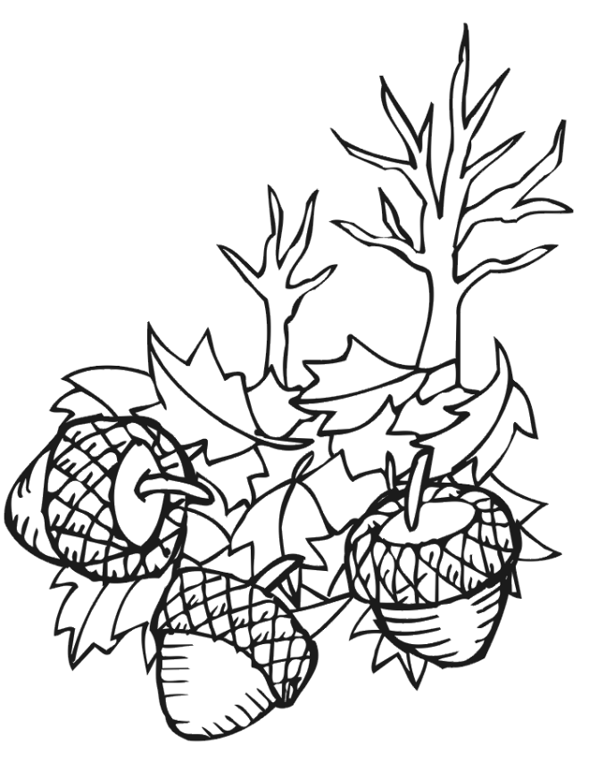 Fall Coloring Pages | ColoringMates.