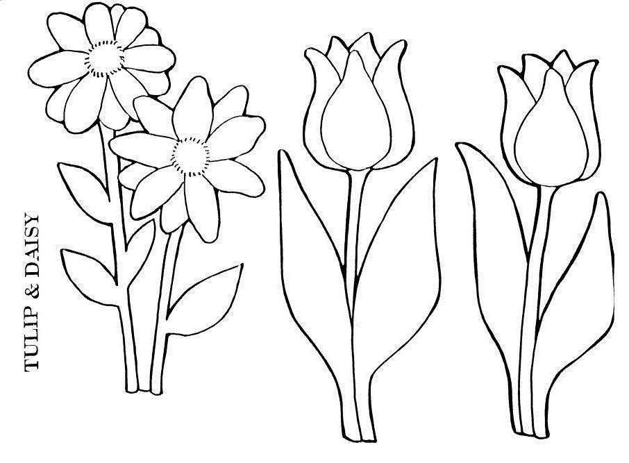 patterns for coloring pages page