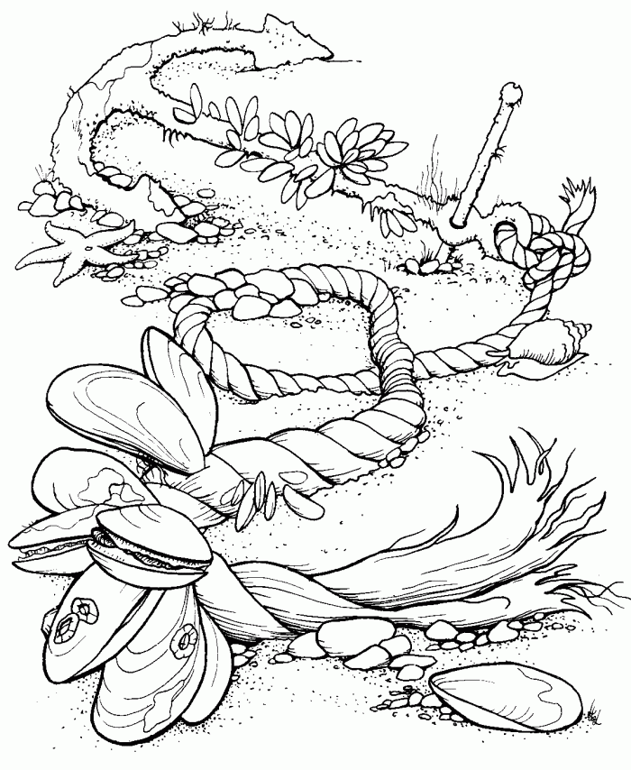 Ocean Coloring Pages For Adults | 99coloring.com