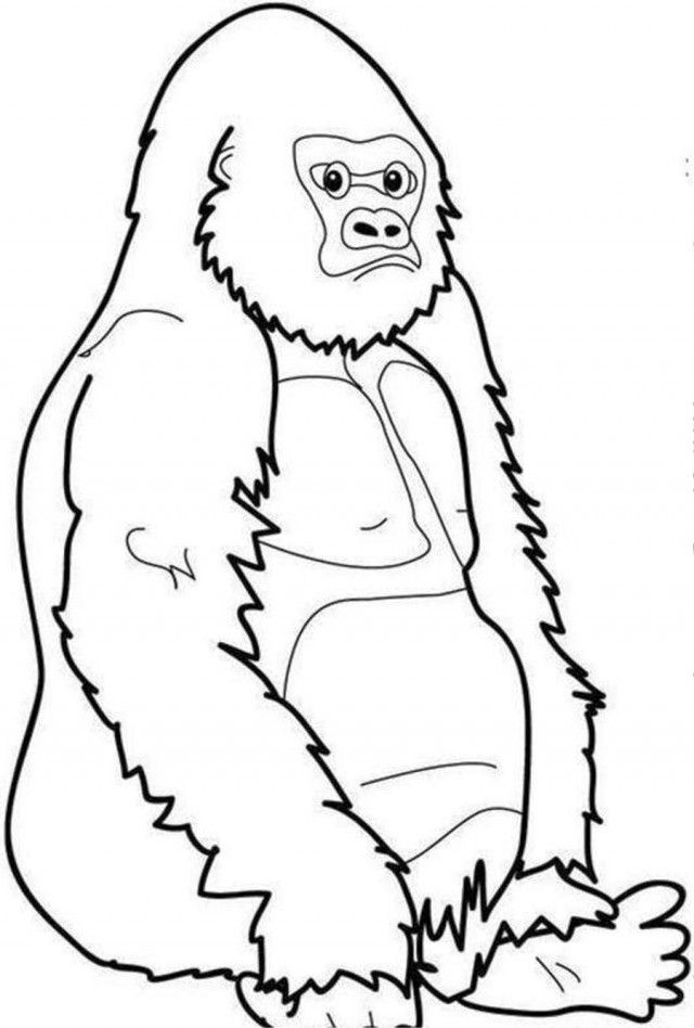 Sitting Bored Gorilla Coloring Page Coloringplus 240770 Gorilla 