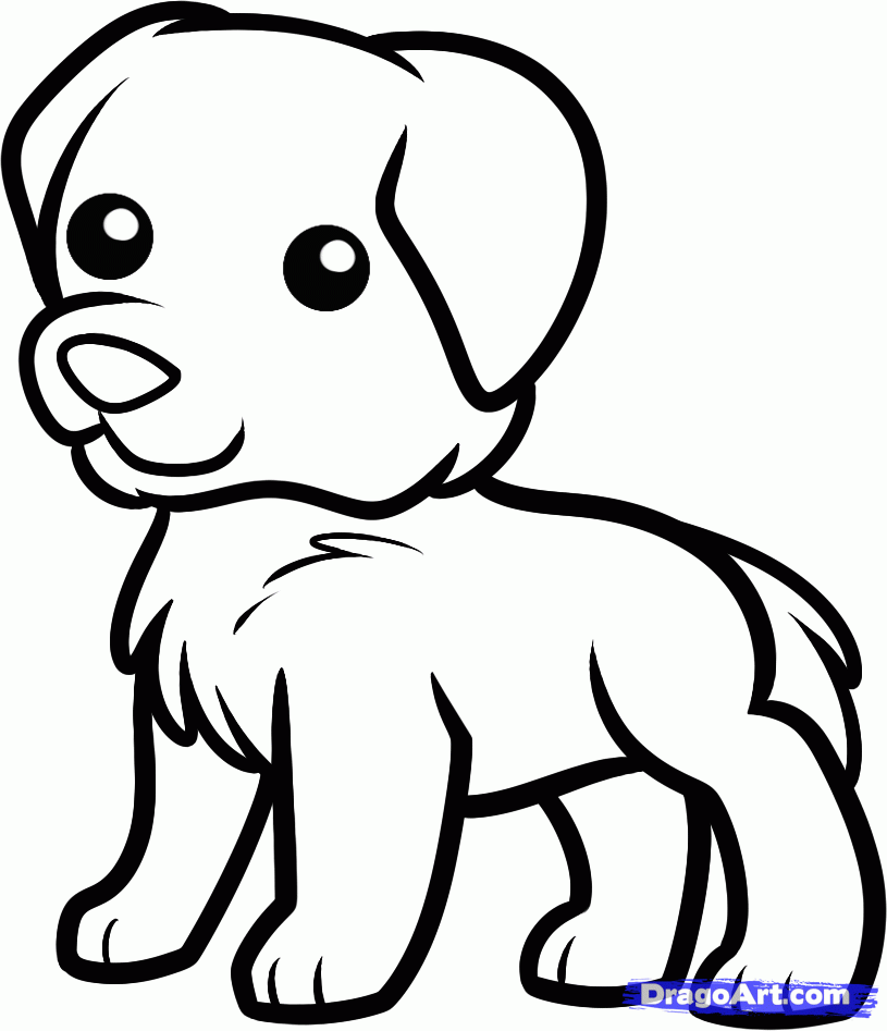 Draw a Golden Retriever For Kids, Step by Step, Drawing Sheets 