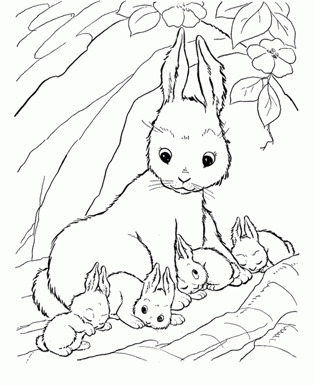 baby bunnies Colouring Pages (page 3)