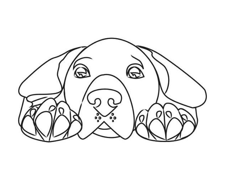 Animal Coloring Dalmatian Fire Dog Coloring Pages Dog Sled 