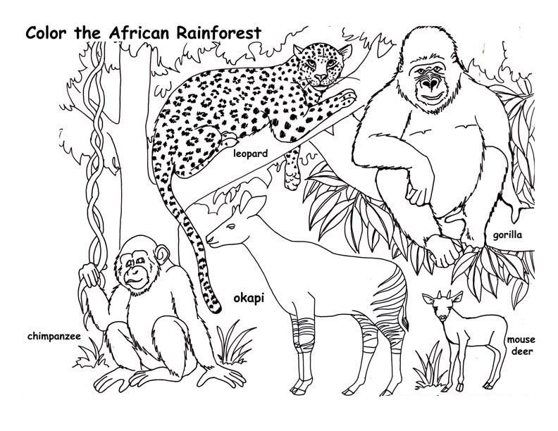 Animals In Africa Coloring Pages Images & Pictures - Becuo