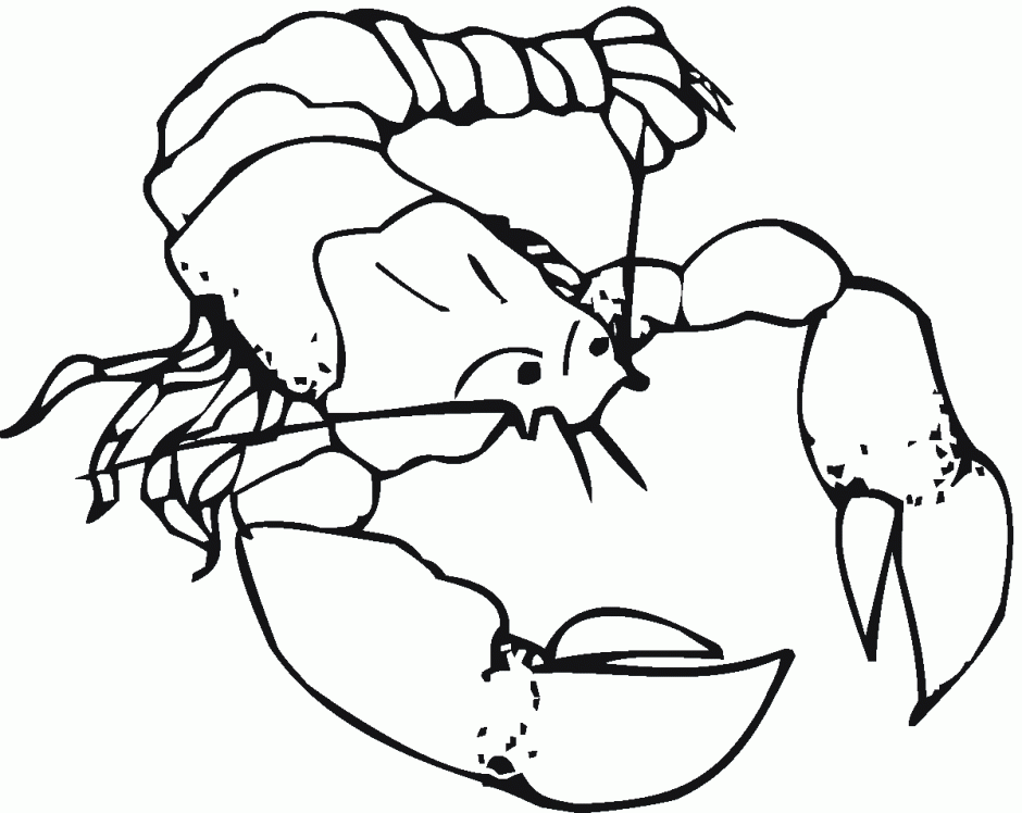Lobster Coloring Sheets Kids Colouring Pages 199484 Lobster 