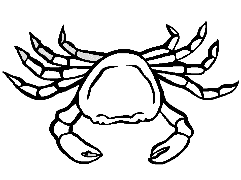 Coloring Page - Crab coloring pages 12