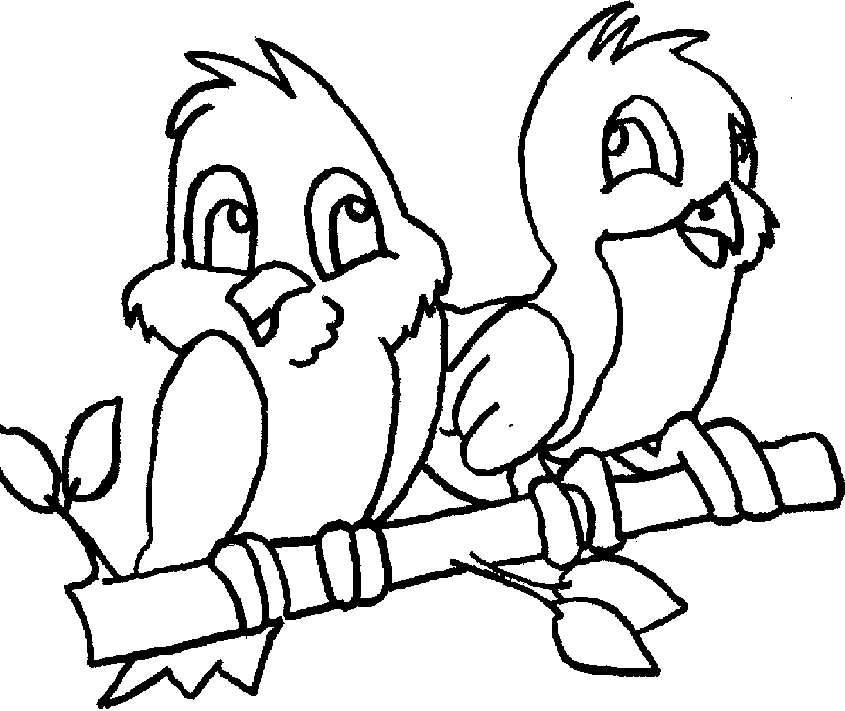 Birds Humming Coloring For kids - Bird Coloring Pages : Coloring 