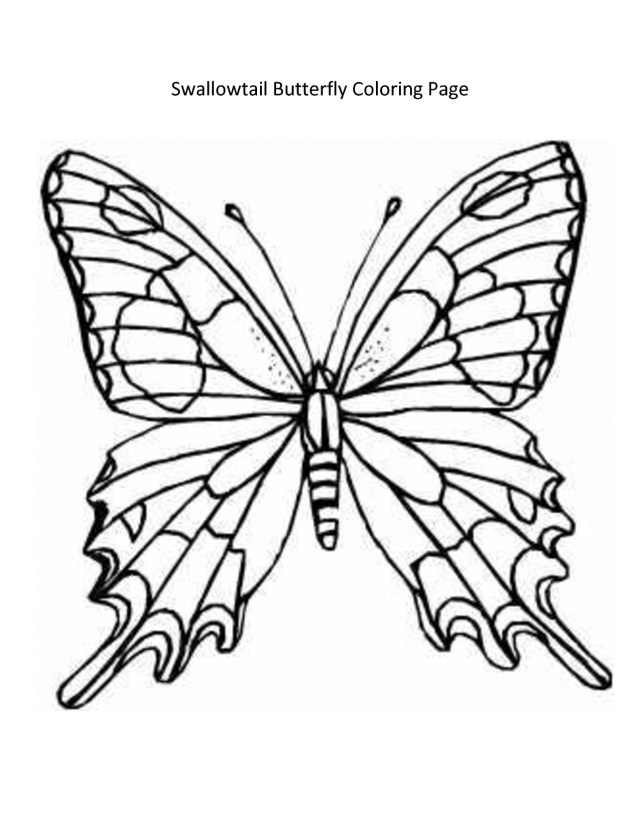 Swallowtail Butterfly Coloring Page 146191 Monarch Butterfly 