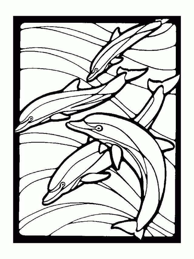 Dolphin Coloring Pages Dolphin Coloring Pages To Color Online 