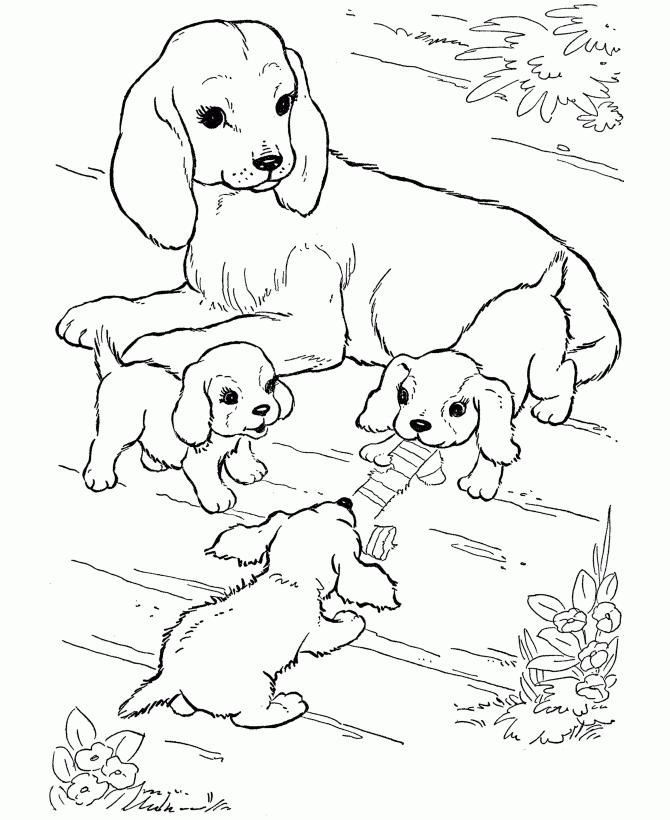 Real-Dog-Coloring-PagesFree coloring pages for kids | Free 