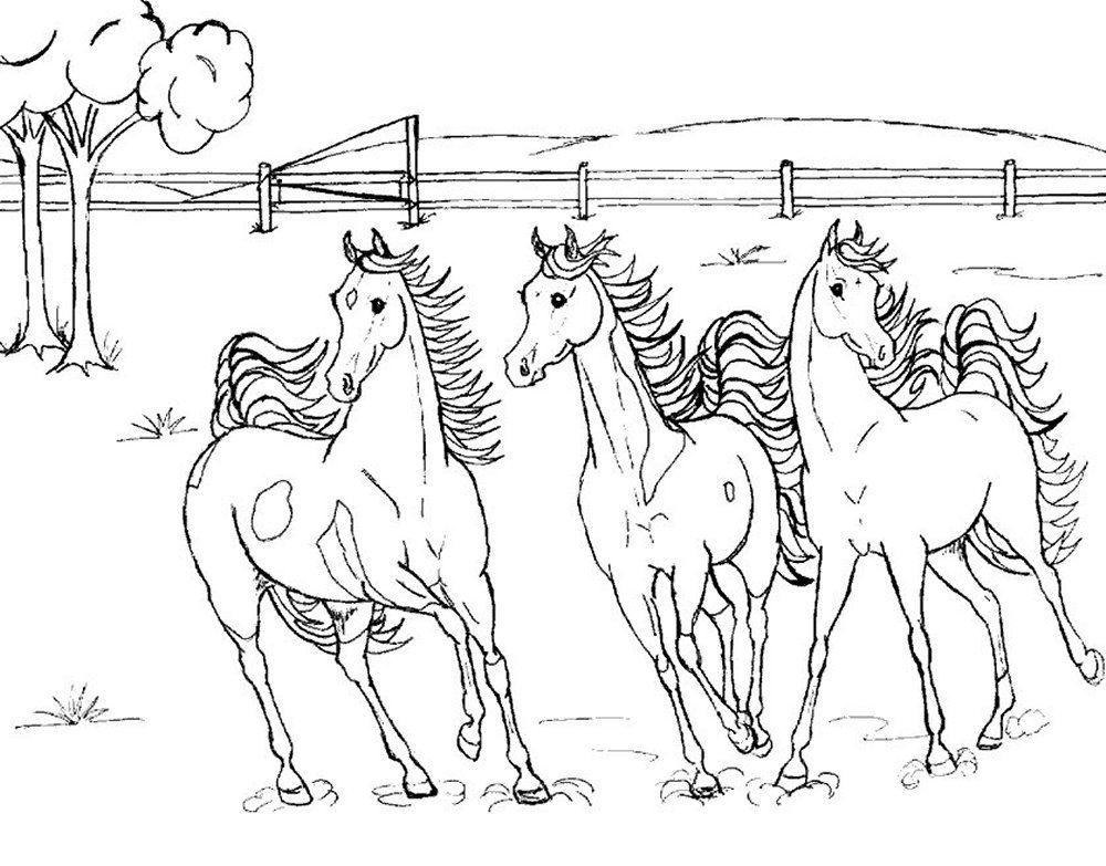 realistic horse jumping coloring pages : Printable Coloring Sheet 