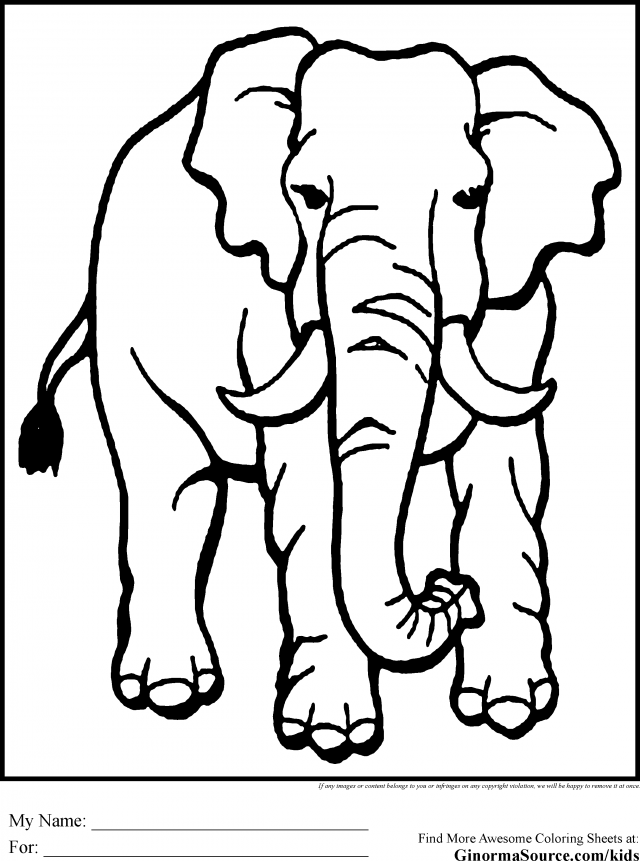 Wild Animal Coloring Pages Jungle Animal Coloring Pages Simple 