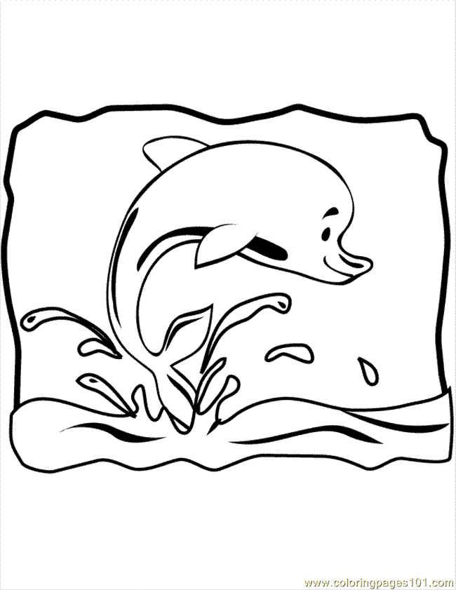 dolphin p Colouring Pages