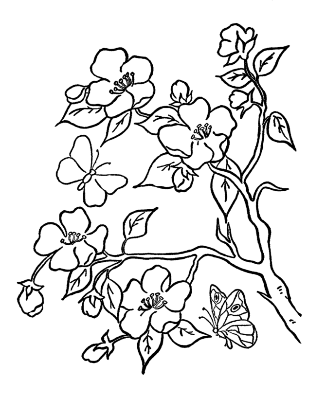 Coloring Pages For Kids Flowers | Flowers Coloring Pages | Kids 