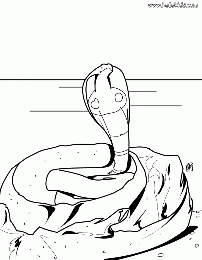 Snake Coloring Pages Realistic