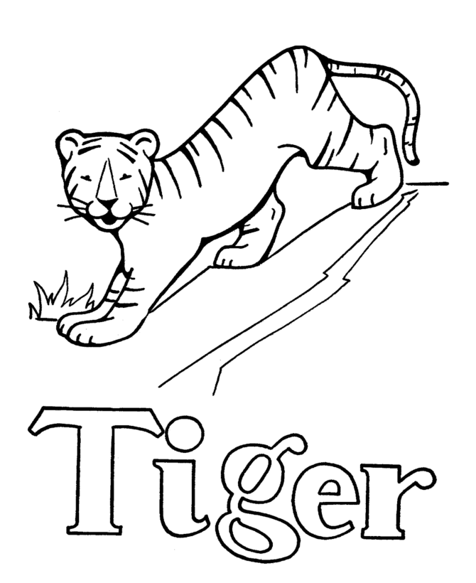 Tiger picturs To color