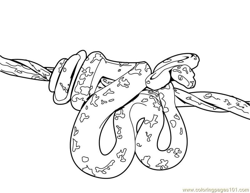 coloring pages snakes scary : Printable Coloring Sheet ~ Anbu 