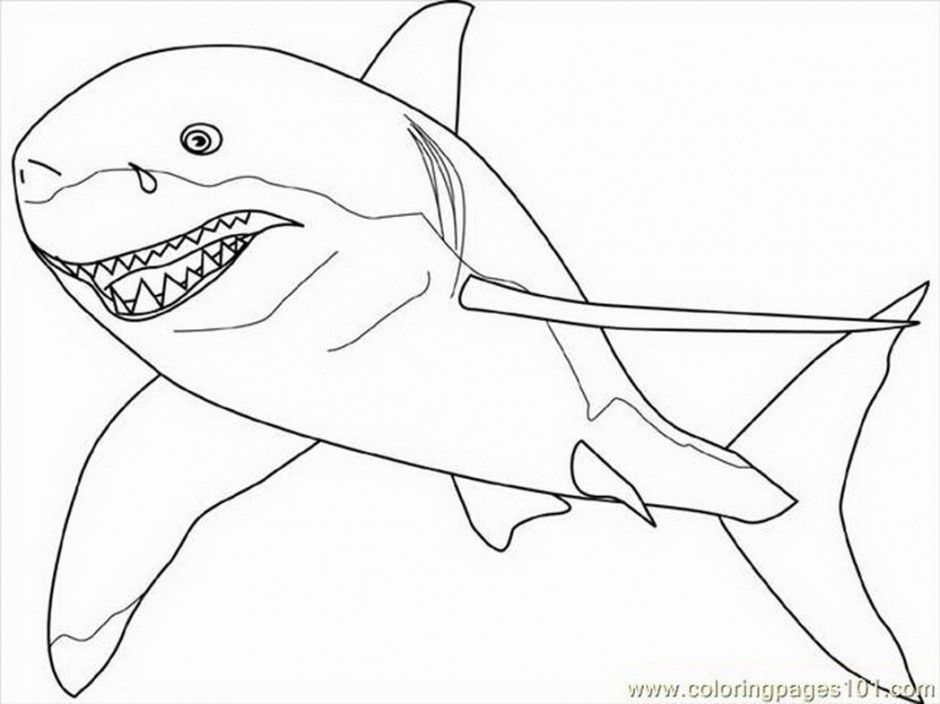 Colour In Shark Animal Coloringz 231116 Great White Shark Coloring 