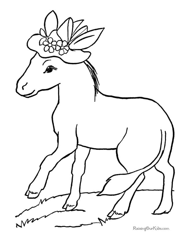 bull animals coloring pages book