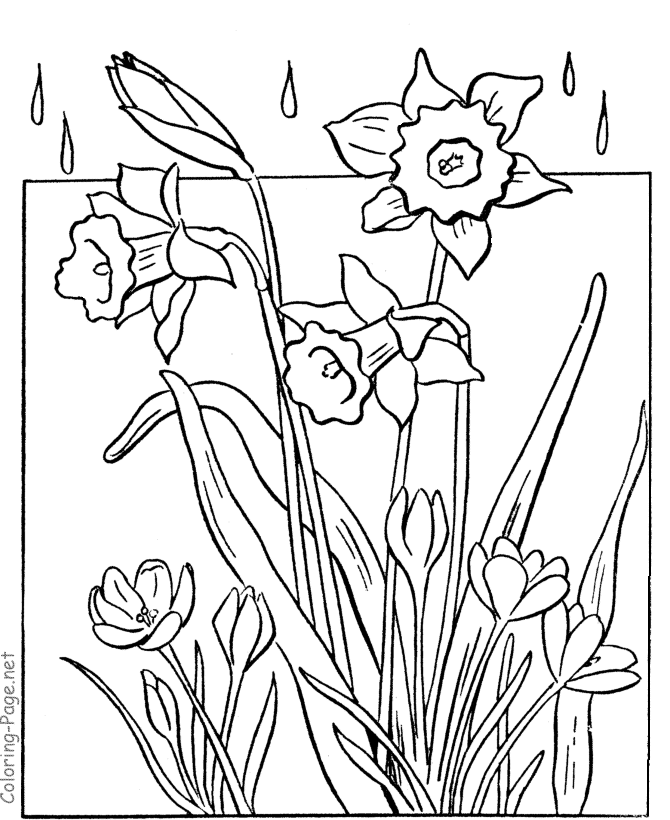 Flower Coloring Pages For Adults – 585×720 Coloring picture animal 
