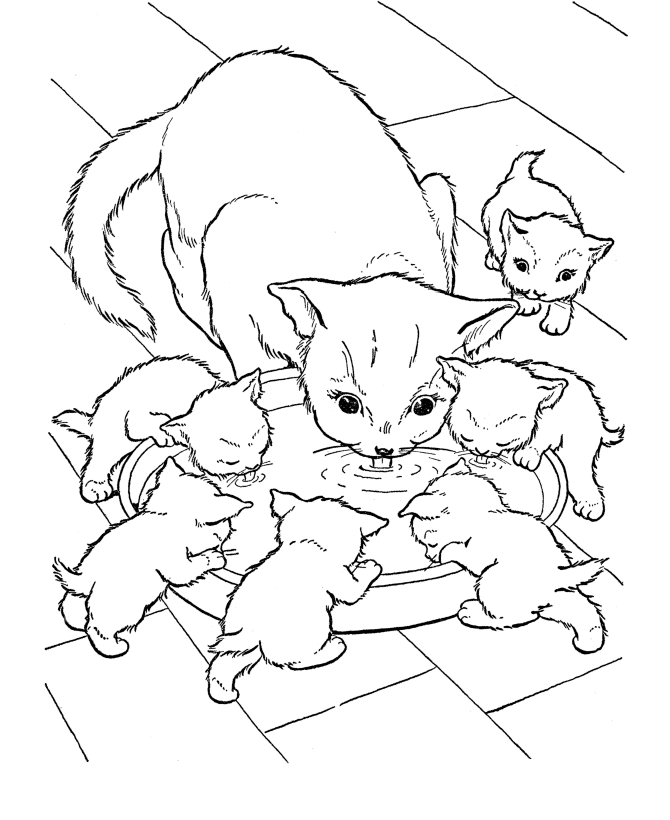 Coloring Pages Of Cats And Kittens - Free Printable Coloring Pages 