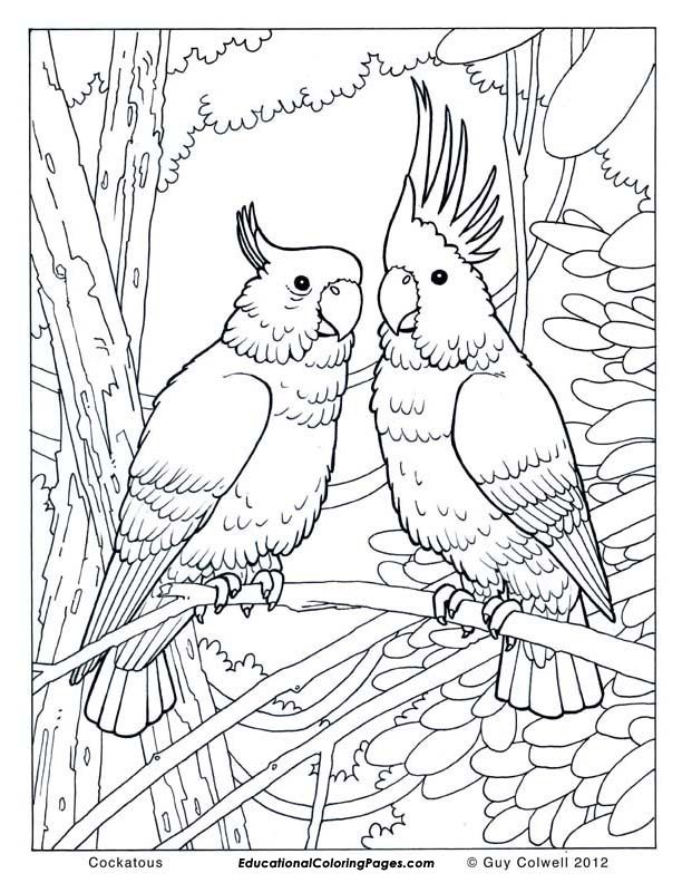 animal coloring pages free printable | Animal Coloring Pages for Kids